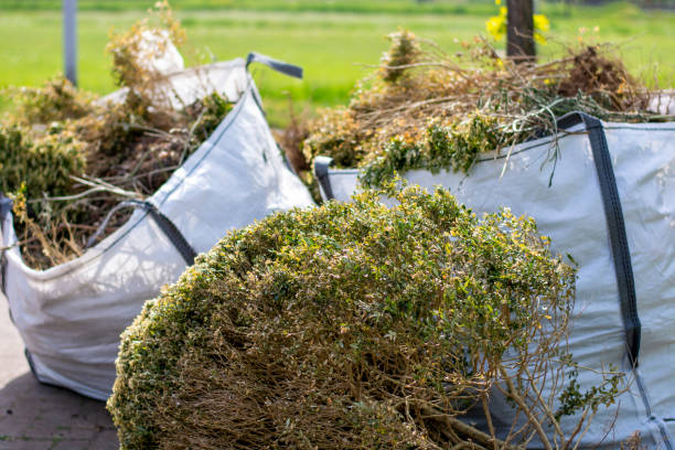 Best Same-Day Junk Removal Services  in Glenmora, LA